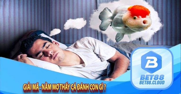 Giải Mã - Nằm Mơ Thấy Cá Đánh Con Gì ?