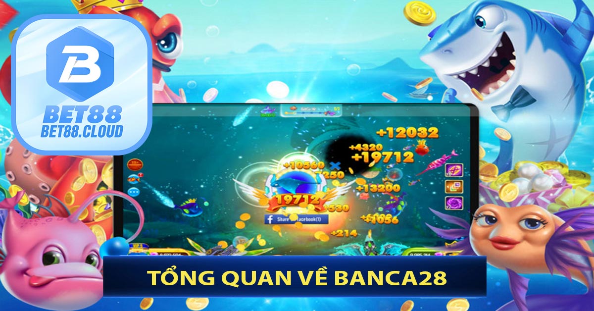 Tổng Quan Về Banca28