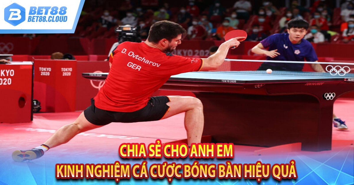 Chia sẻ cho anh em kinh nghiệm cá cược bóng bàn hiệu quả 